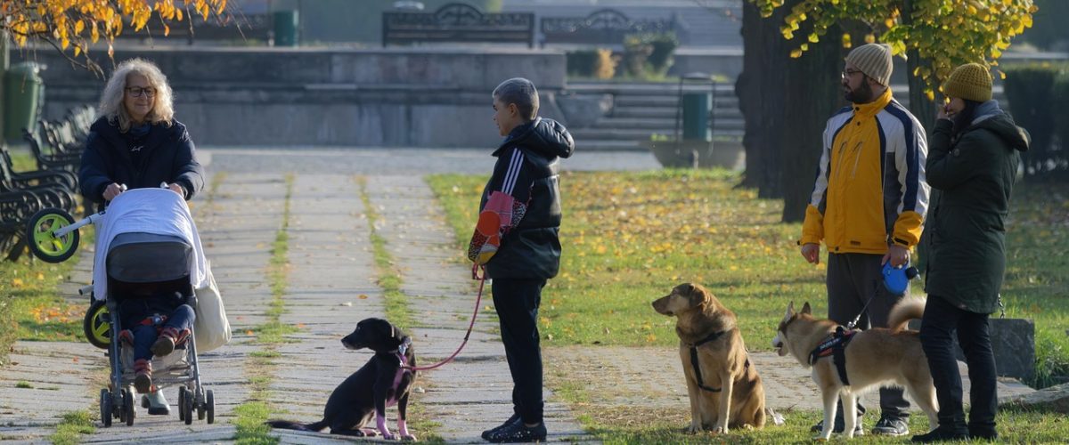 people, child, baby, stroller, dogs, pets, animals, canine, alley, park, nature, autumn, relaxation, lifestyle, people, people, people, people, people, stroller